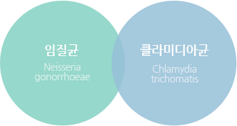 성병의 원인균이 원인인 경우가 많습니다